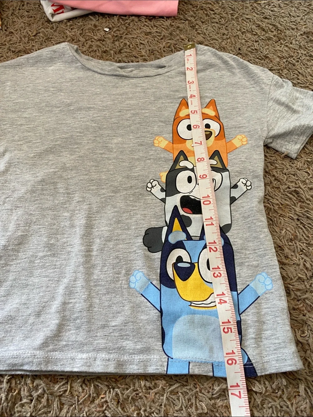 Kids Grey Bluey Graphic Tee - Grey/5